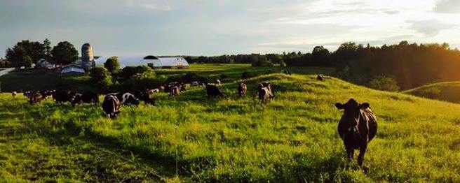 11230970_781056188659256_4159321342228687300_n